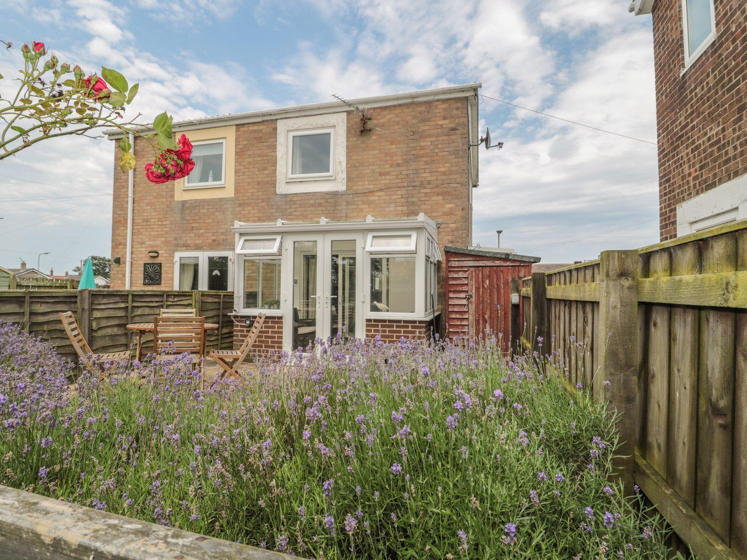 Lavender Cottage Chathill المظهر الخارجي الصورة